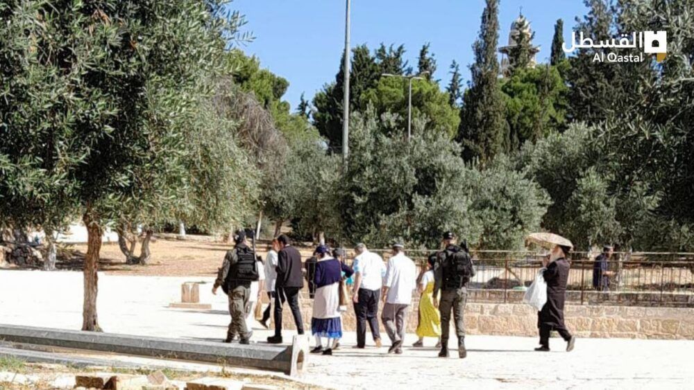 مستوطنون يقتحمون المسجد "الأقصى"