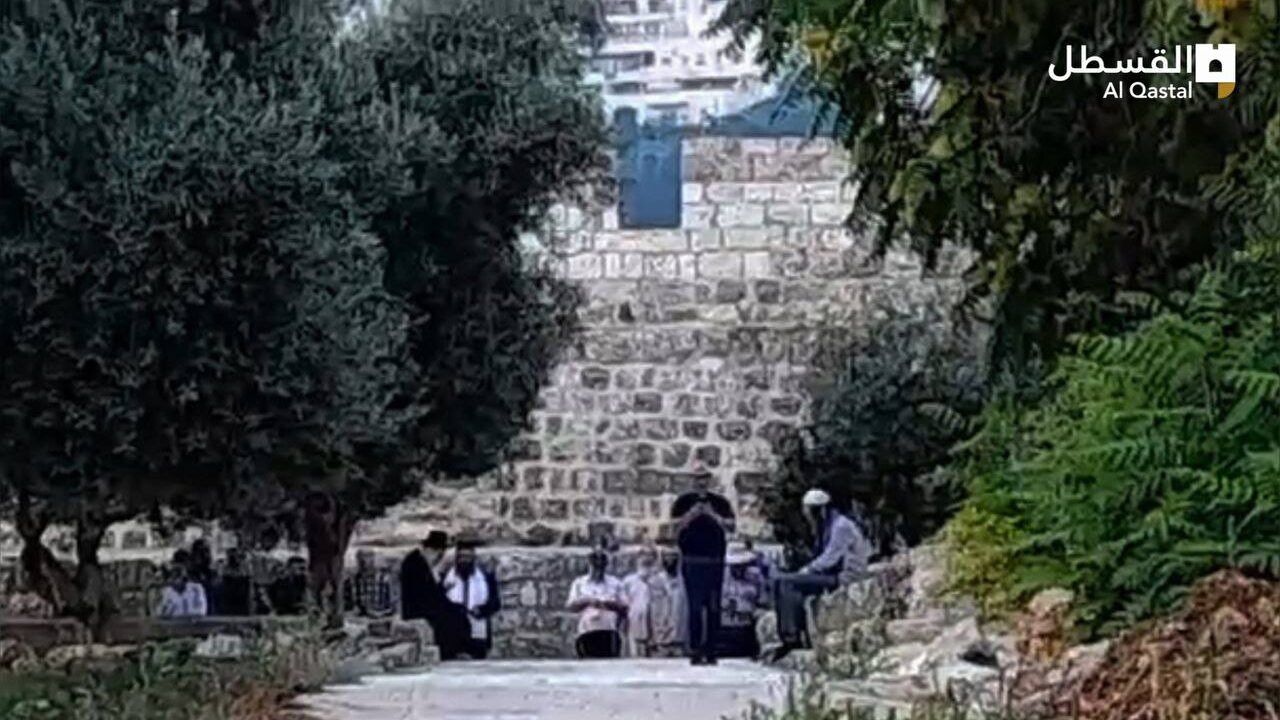 عشرات المستوطنين يقتحمون "الأقصى"