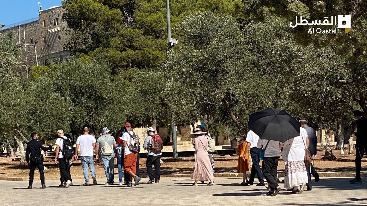 مستوطنون يقتحمون المسجد الأقصى المبارك