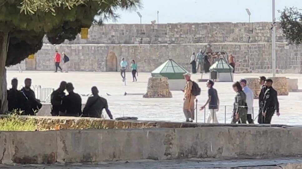 مستوطنون يقتحمون المسجد الأقصى