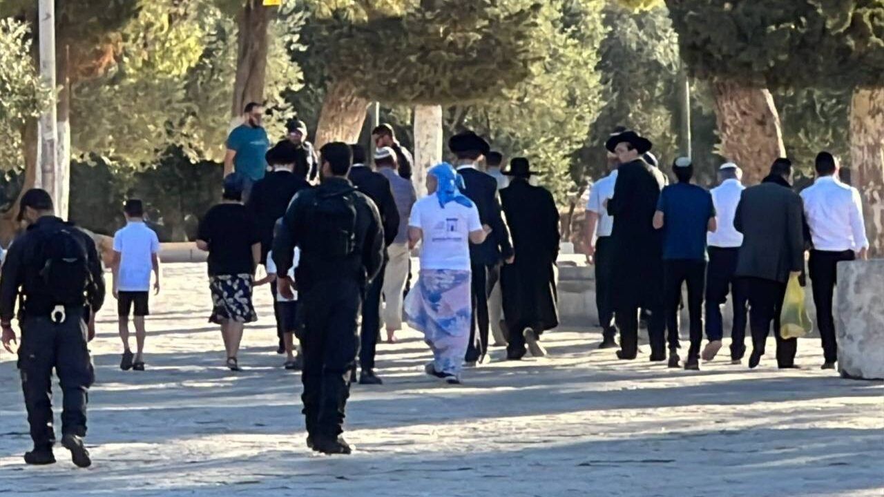 عشرات المستوطنين يقتحمون "الأقصى"