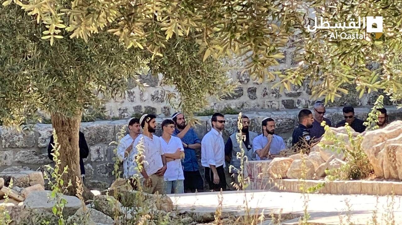 عشرات المستوطنين اقتحموا المسجد الأقصى على شكل مجموعات متتالية