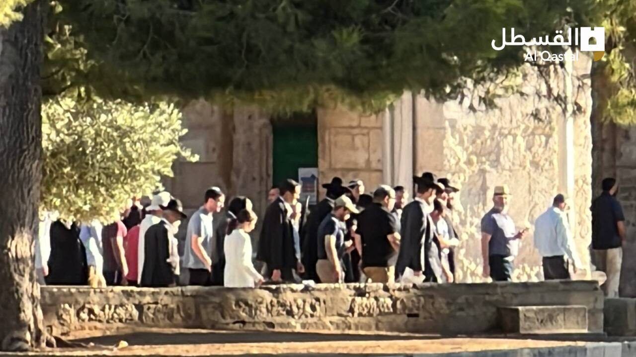 مستوطنون يقتحمون "الأقصى"