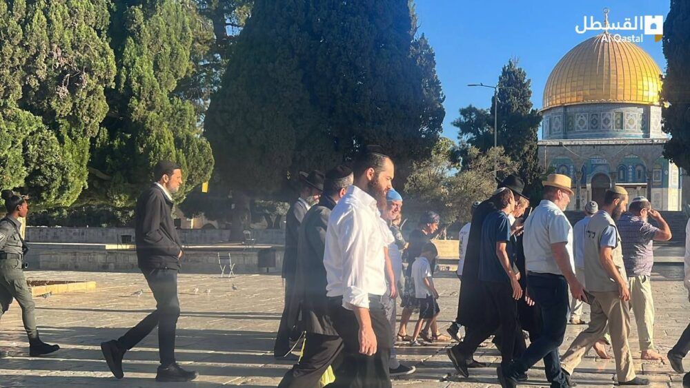 مستوطنون يقتحمون المسجد الأقصى بحراسة مشددة من شرطة الاحتلال