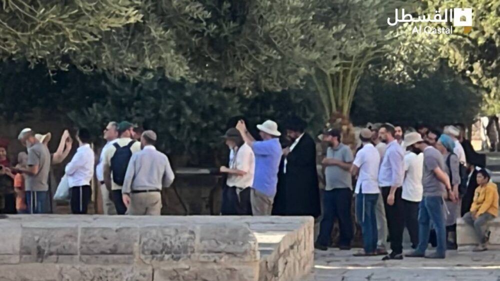 مستوطنون يقتحمون المسجد الأقصى بحماية قوات الاحتلال