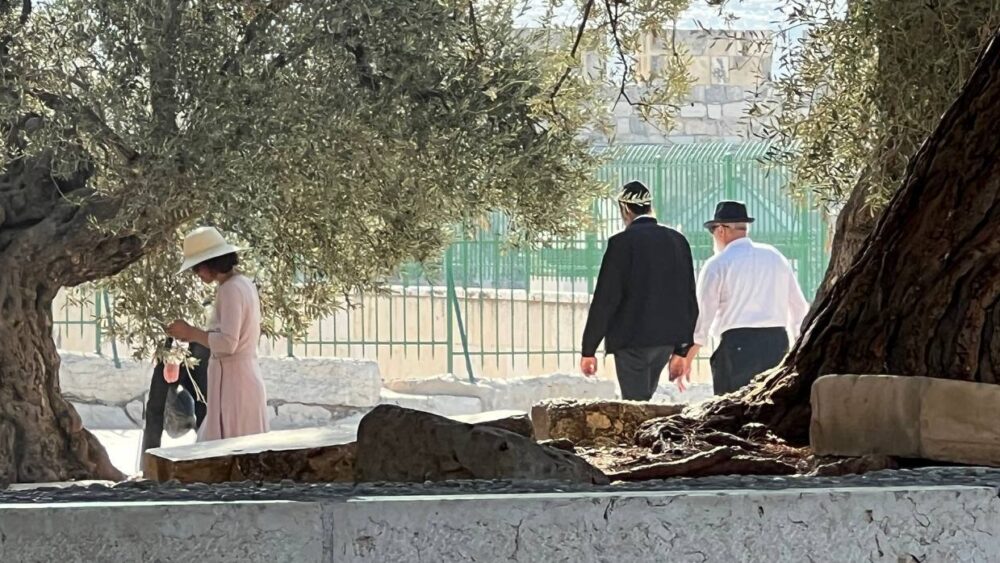 مستوطنون يقتحمون المسجد الأقصى المبارك