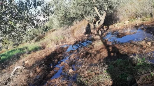 الاحتلال يضخ مياها عادمة تجاه أراضٍ جنوب قلقيلية