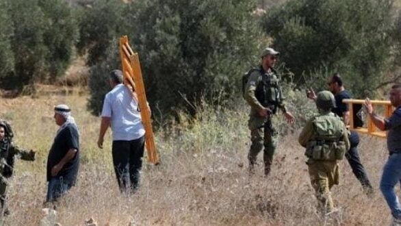 الاحتلال يمنع المزارعين من الوصول إلى أراضيهم شمال طولكرم لليوم الثامن