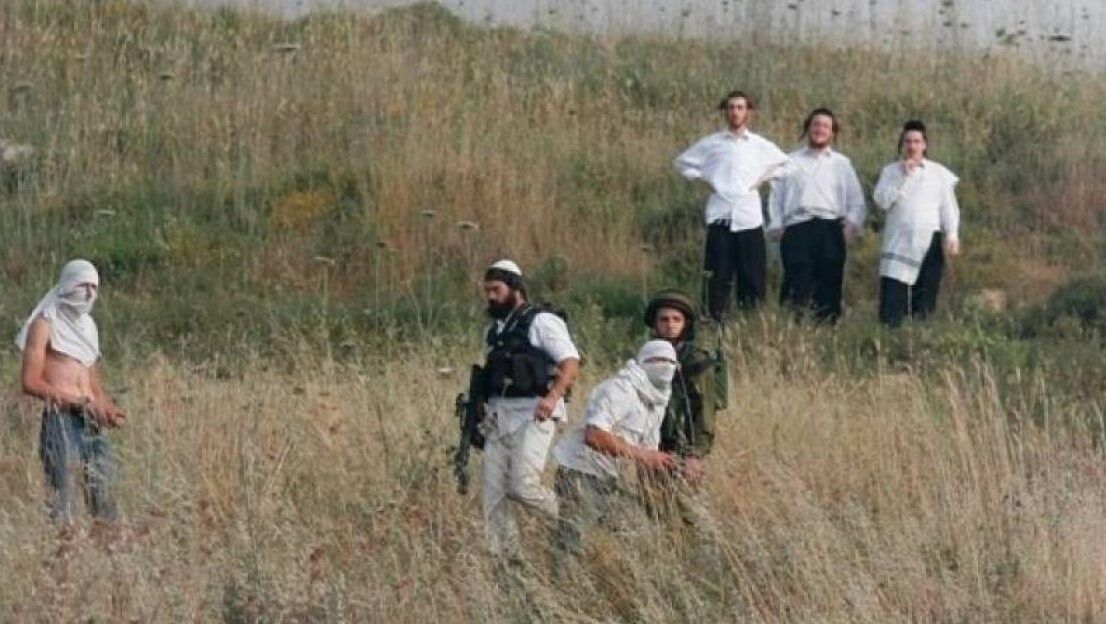 مستوطنون يهاجمون المزارعين في أم صفا شمال غرب رام الله