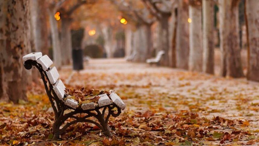 فـي مـديـح الـخـريـف