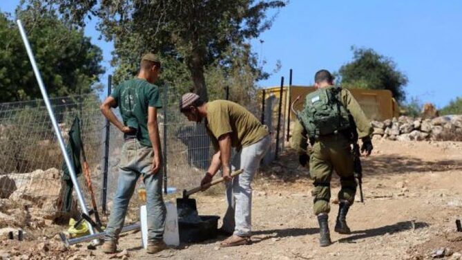 مستعمر يحرث أرضاً في الفارسية بالأغوار الشمالية