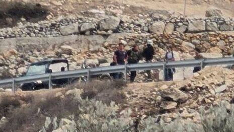 مستعمرون يقتحمون جبل العرمة في بيتا جنوب نابلس