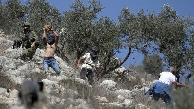 الاحتلال يعتدي بالضرب على مواطن أثناء قطفه ثمار الزيتون جنوب نابلس
