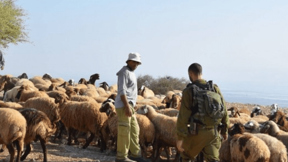 مستعمرون يعتدون على رعاة أغنام شرق بيت لحم
