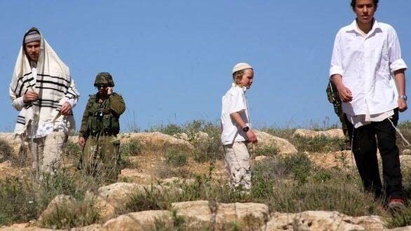 مستوطنون يهاجمون قاطفي الزيتون في يانون جنوب نابلس