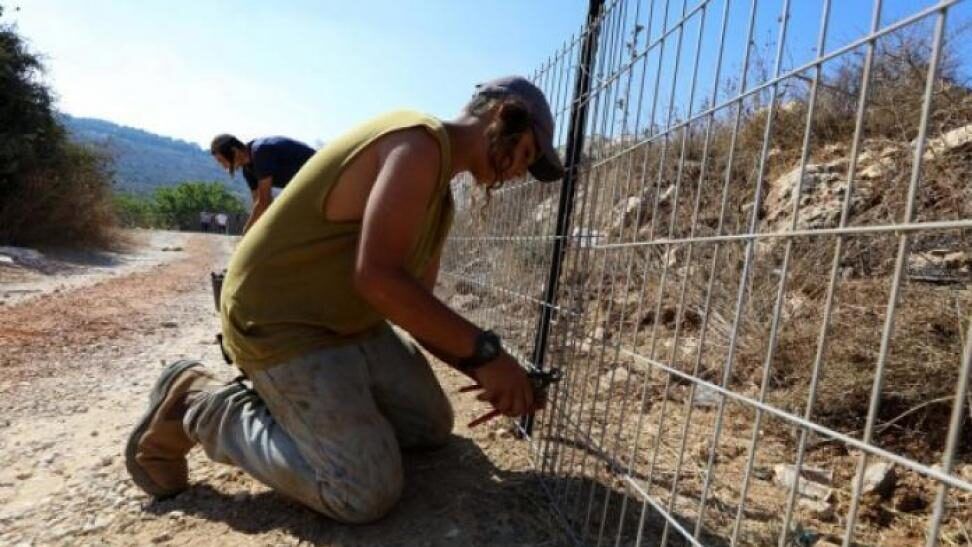 مستعمر يحرث أرضاً في الأغوار تمهيداً للاستيلاء عليها