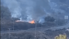 مستوطنون يضرمون النار بأراض مزروعة بالزيتون جنوب نابلس