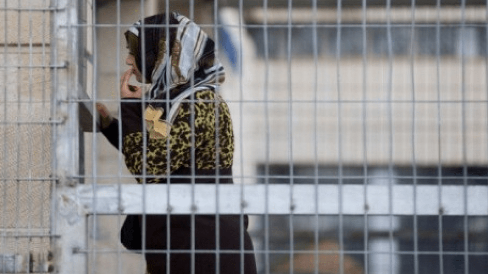 هيئة الأسرى تنشر تفاصيل التنكيل بالأسيرة جنين عمر