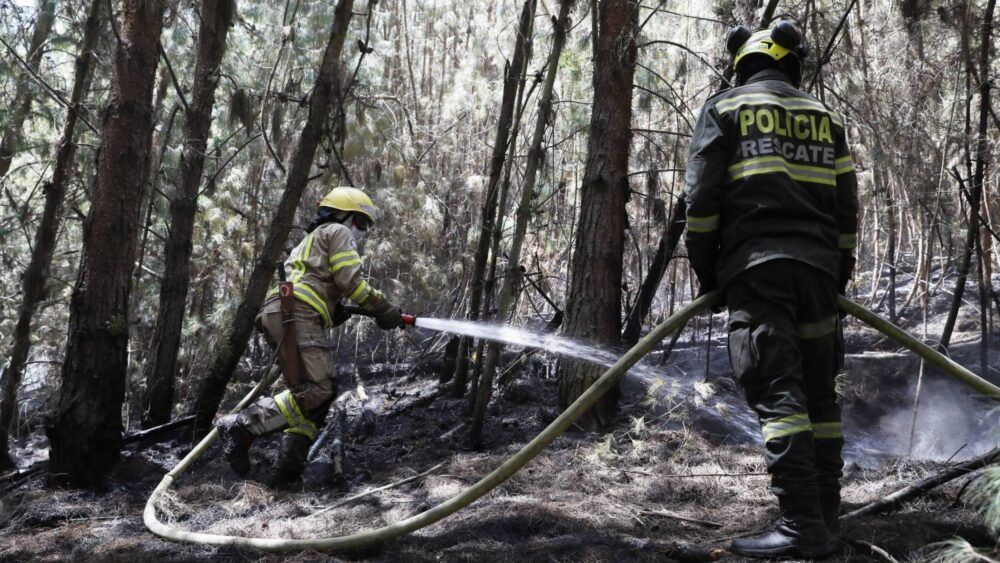 حرائق الغابات في كولومبيا أتت على أكثر من 17 ألف هكتار