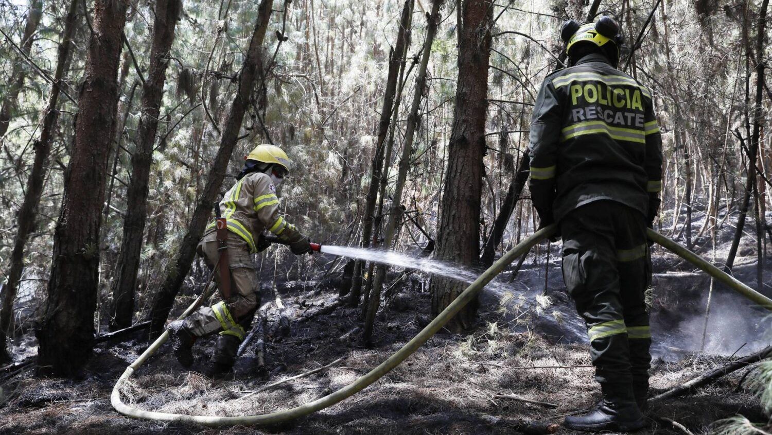 حرائق الغابات في كولومبيا أتت على أكثر من 17 ألف هكتار