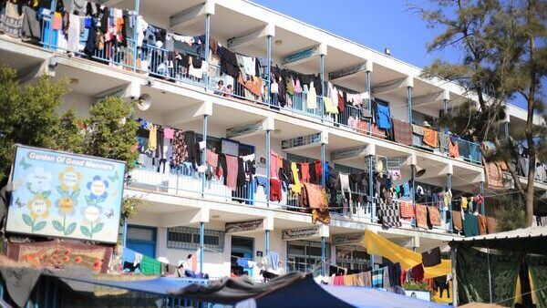 غزة.. الشجرة التي صعد عليها الجميع