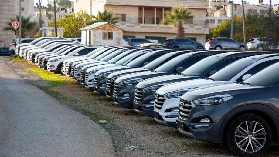 وزارة المالية توقف استيراد السيارات إلى أجل غير مسمى