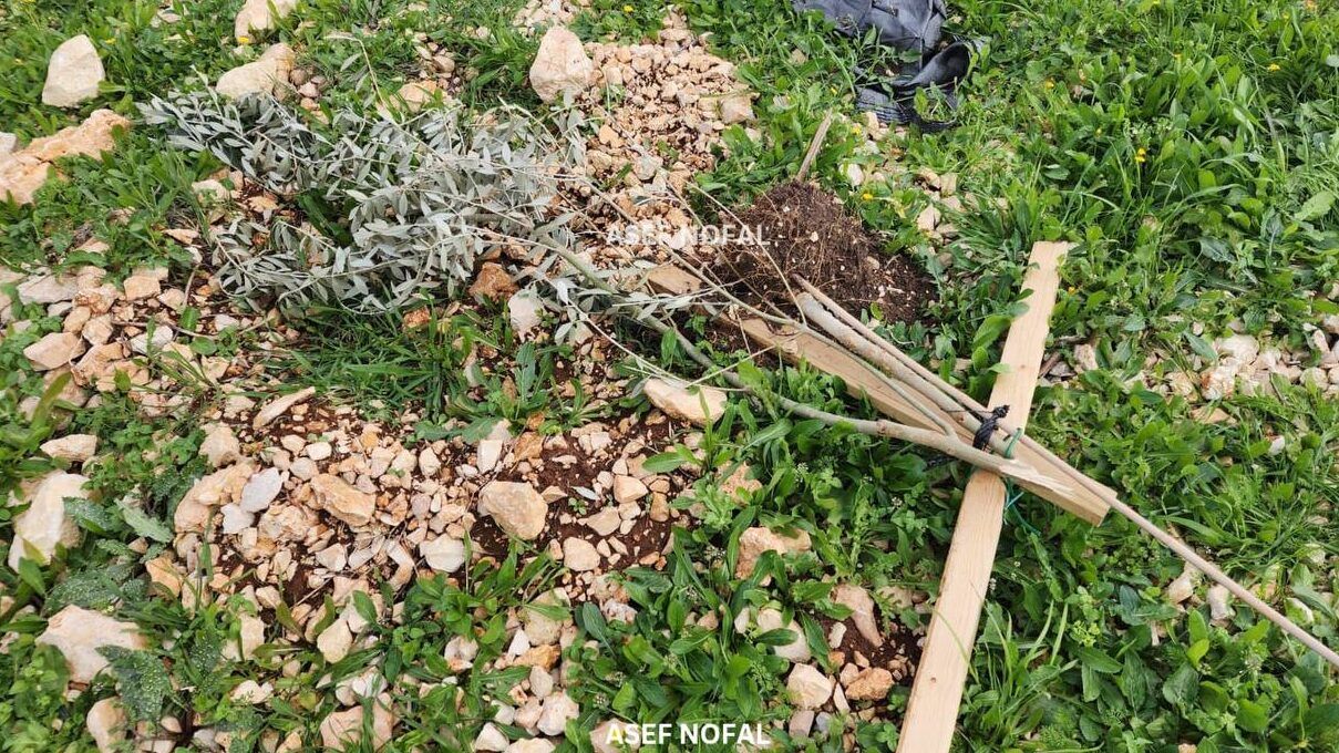 الشيخ: المصادقة على حظر دخول أعضاء منظمة التحرير الولايات المتحدة قرار خطير