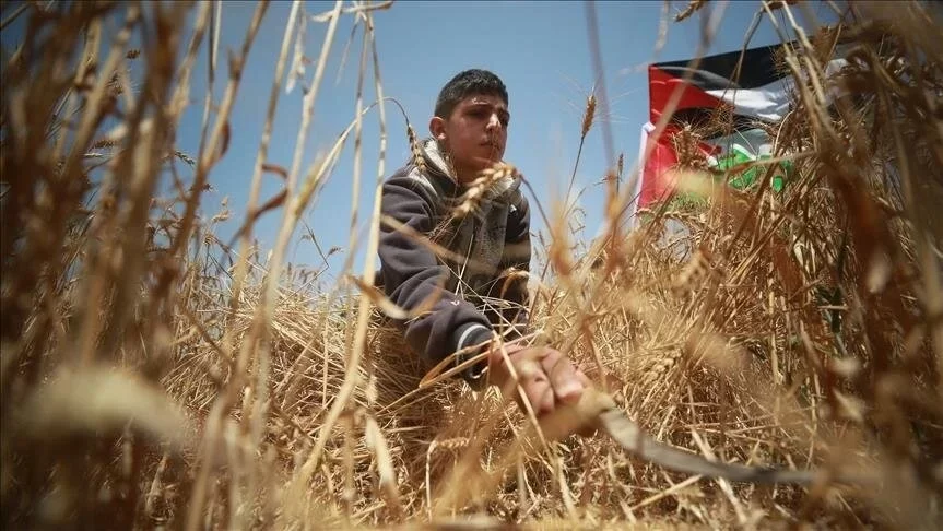 ما هو دور وزارة الزراعة في تقديم الدعم للمزارعين المتضررين خلال العدوان؟
