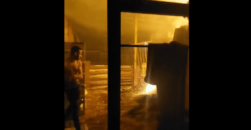 مستوطنون يهاجمون قرية برقا شرق رام الله ويحرقون "بركسا" للأغنام