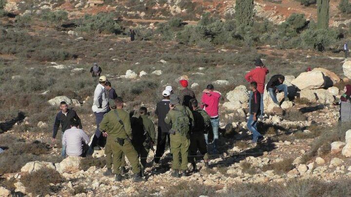 الاحتلال يعتقل شقيقين بمسافر يطا جنوب الخليل