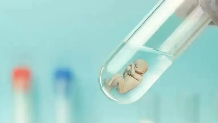 ضربة واحدة للاحتلال الاسرائيلي تقضي على 5 آلاف من أجنة أطفال الأنابيب في غزة