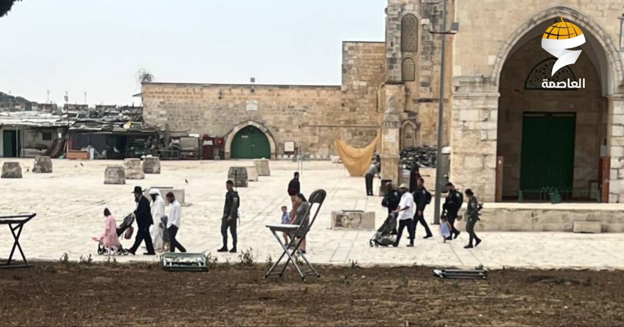 مستوطنون يواصلون اقتحام الأقصى في سابع أيام عيد “الفصح”