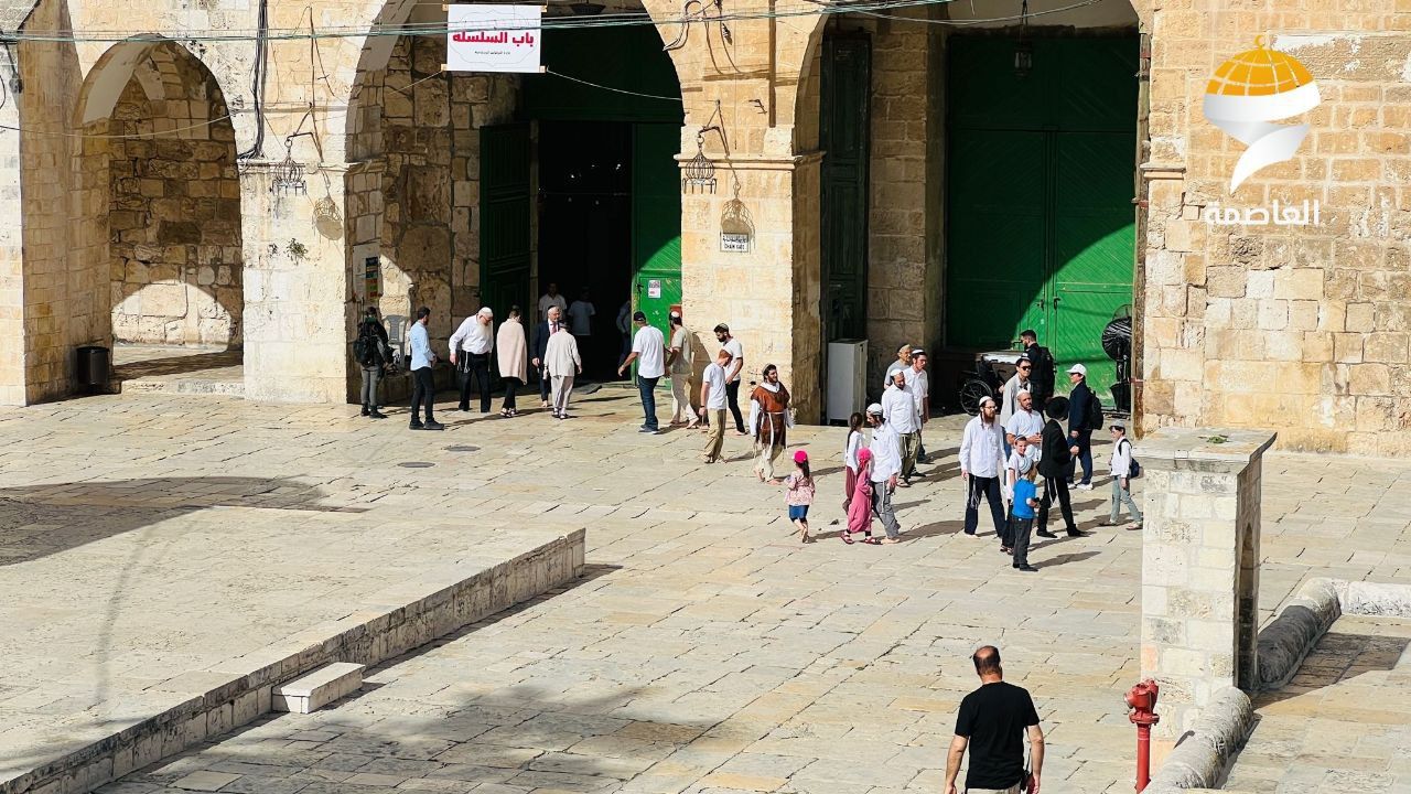في ثاني أيام عيد "الفصح اليهودي".. مئات المستوطنين يقتحمون المسجد الأقصى