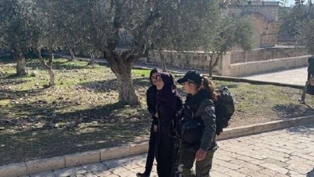 الاحتلال يعتقل فتاة من البلدة القديمة بالقدس