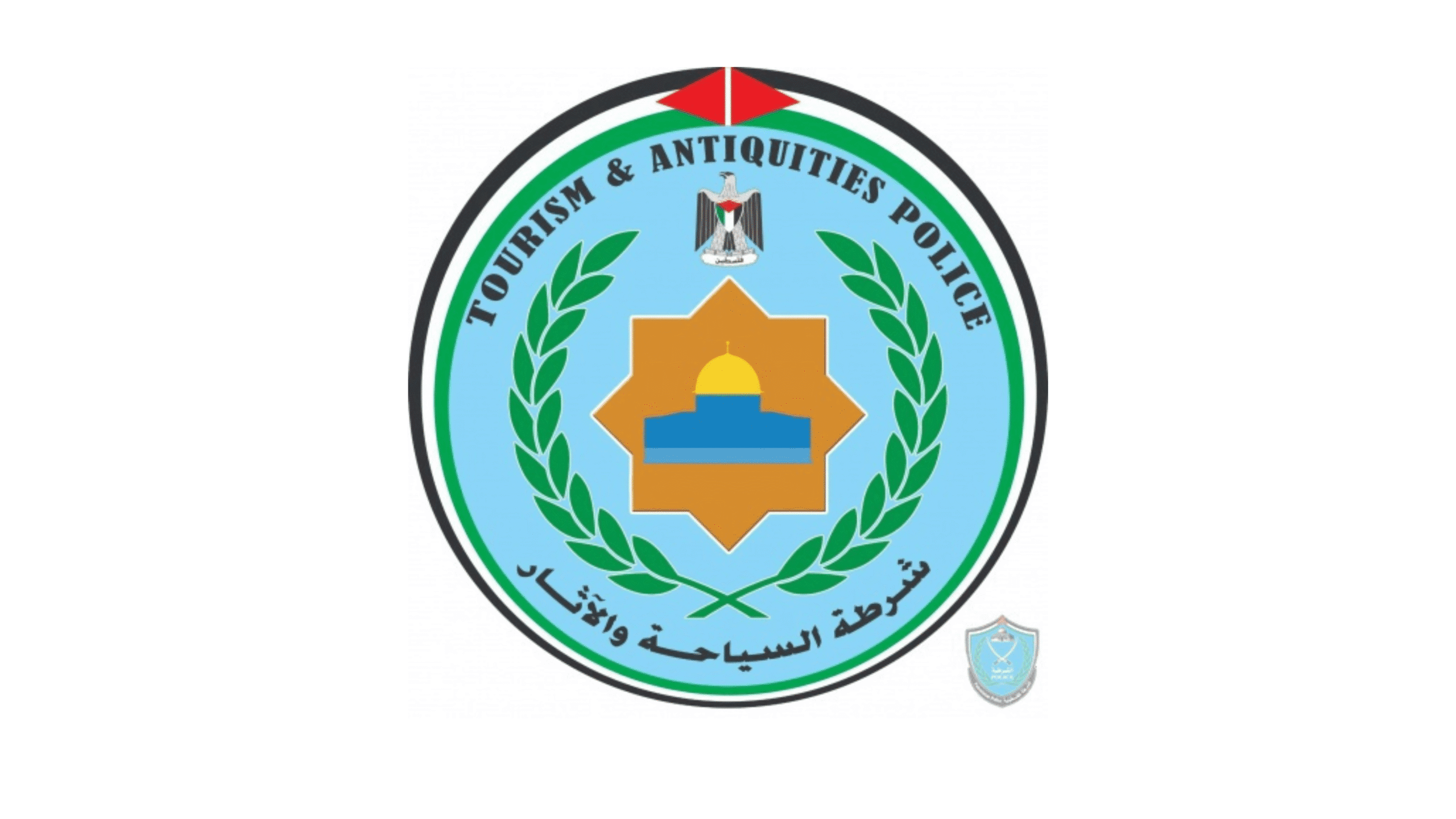 الشرطة: القبض على مهرب آثار نقلها مع سائق على أنها طرد دواء