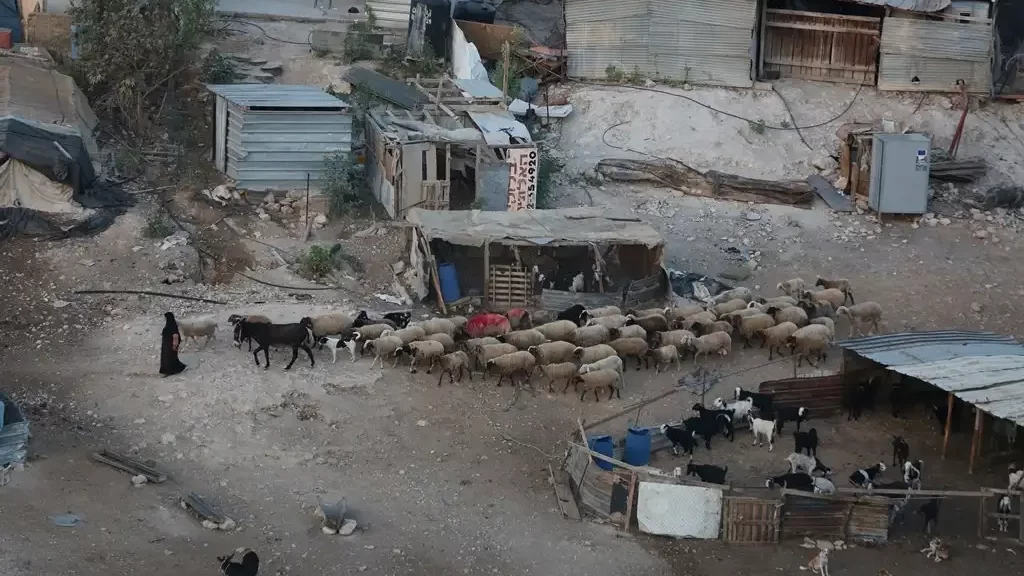 مستوطنون يستولون على التجمع البدوي بير المسكوب في بادية القدس