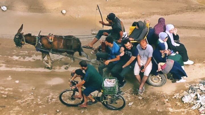 اليوم الـ235 للعدوان.. قصف مكثف على رفح وغزة مخلّفاً عشرات الشهداء والجرحى