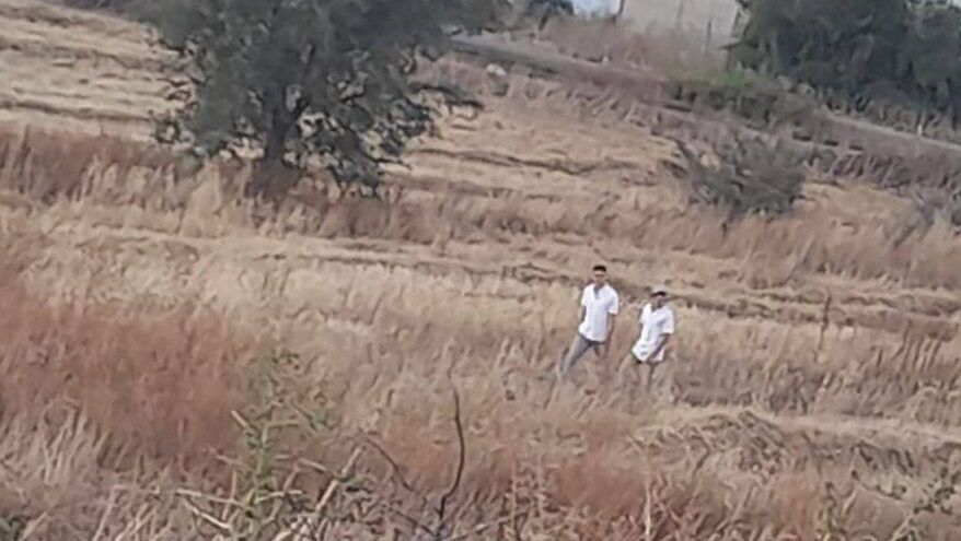 مستوطنون يقتحمون تل الحمة في الأغوار الشمالية