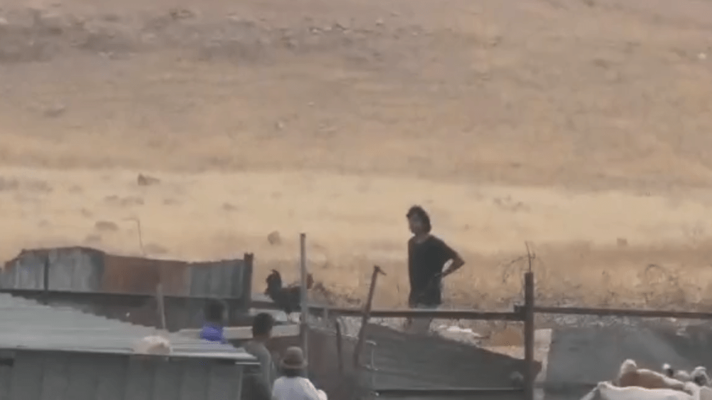 مستوطنون يهاجمون تجمع "عرب المليحات" غرب أريحا
