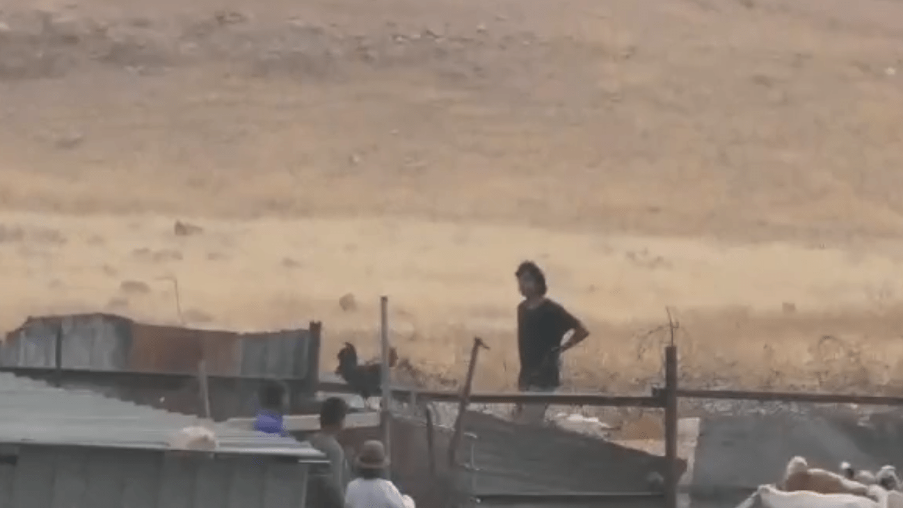 مستوطنون يهاجمون تجمع "عرب المليحات" غرب أريحا
