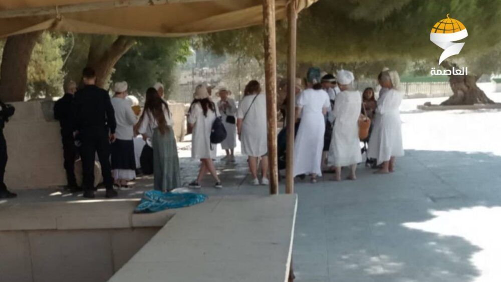 مستوطنون يقتحمون المسجد الأقصى المبارك