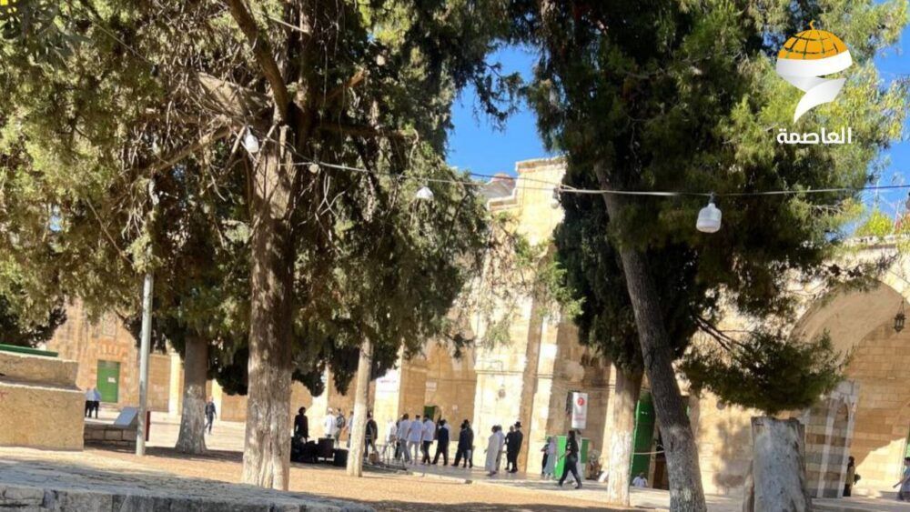 شرطة الاحتلال تحول البلدة القديمة في القدس لثكنة عسكرية.. مستوطنون يقتحمون الأقصى