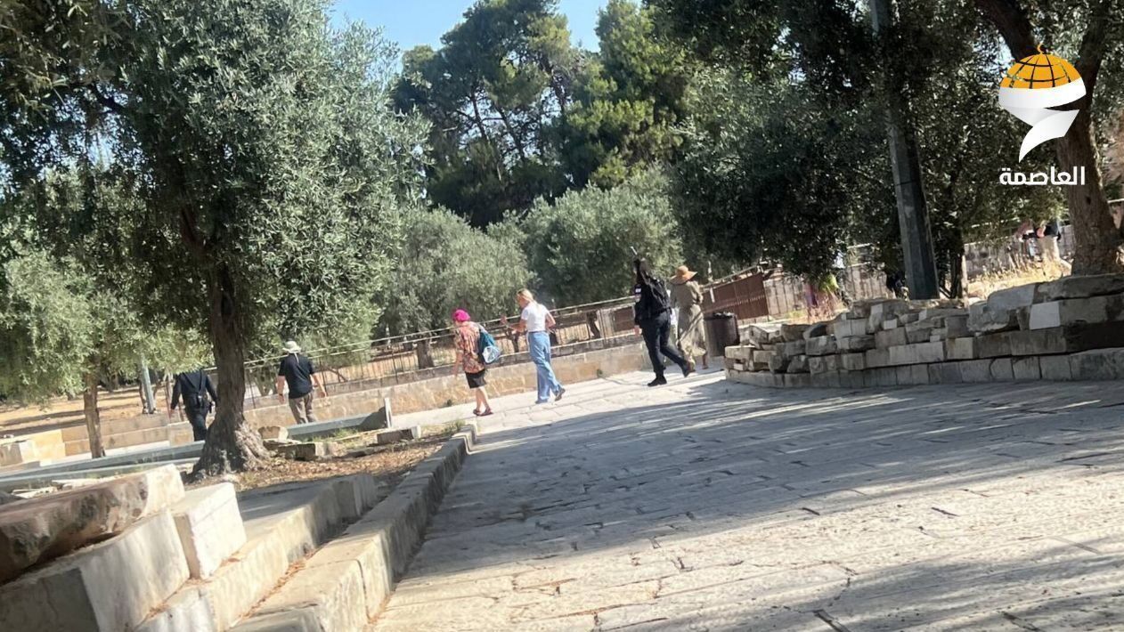 مستوطنون يقتحمون باحات المسجد الأقصى المبارك