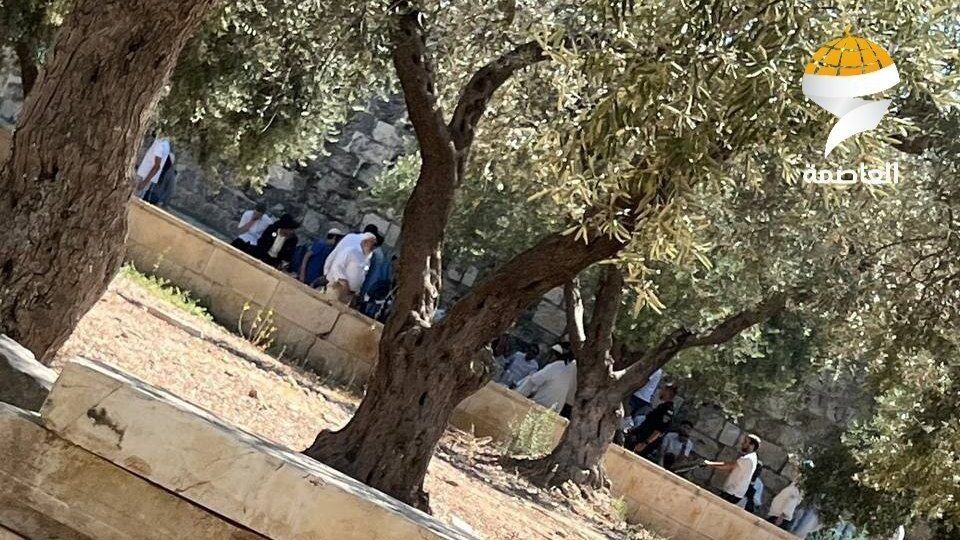 مئات المستوطنين يقتحمون المسجد الأقصى المبارك تزامناً مع ما يسمى ذكرى "خراب الهيكل"
