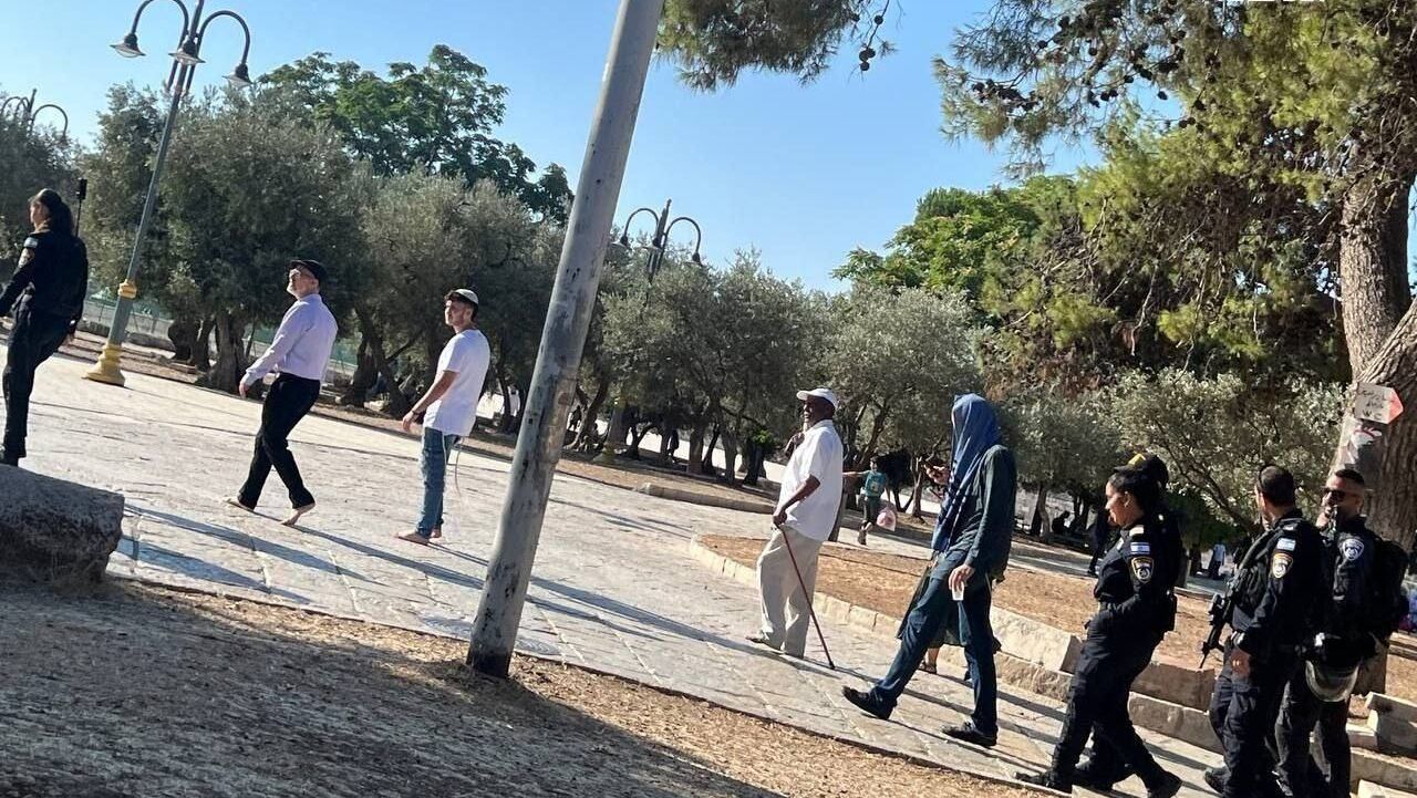 مستوطنون يقتحمون المسجد الأقصى على شكل مجموعات