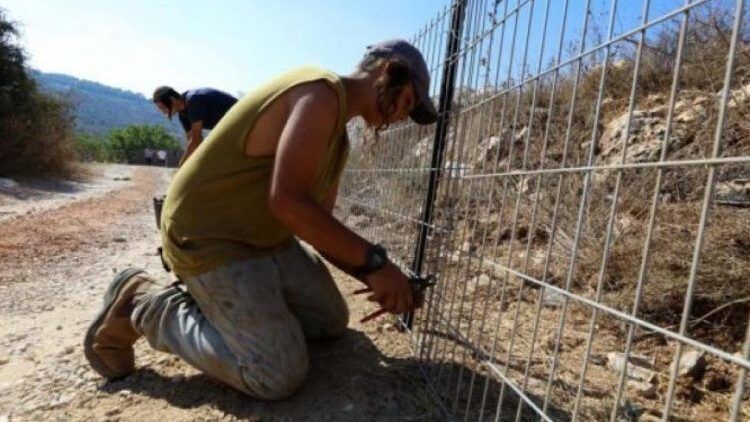 مستوطنون يسيجون طريقا ترابية ويضرمون النار في أراضي خربة يرزا في الأغوار