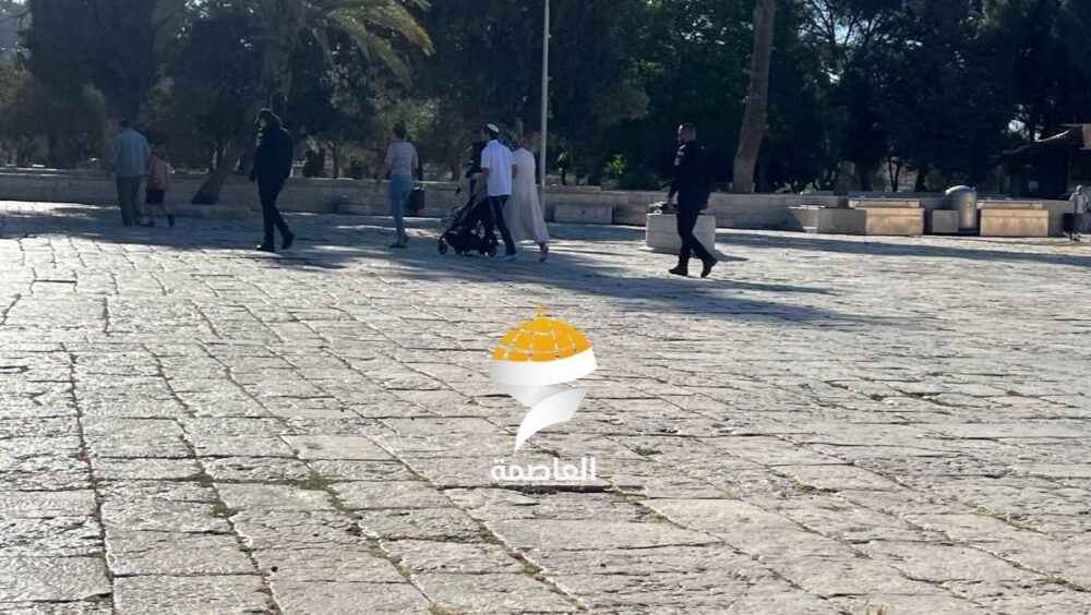 عشرات المستوطنين يقتحمون المسجد الأقصى المبارك