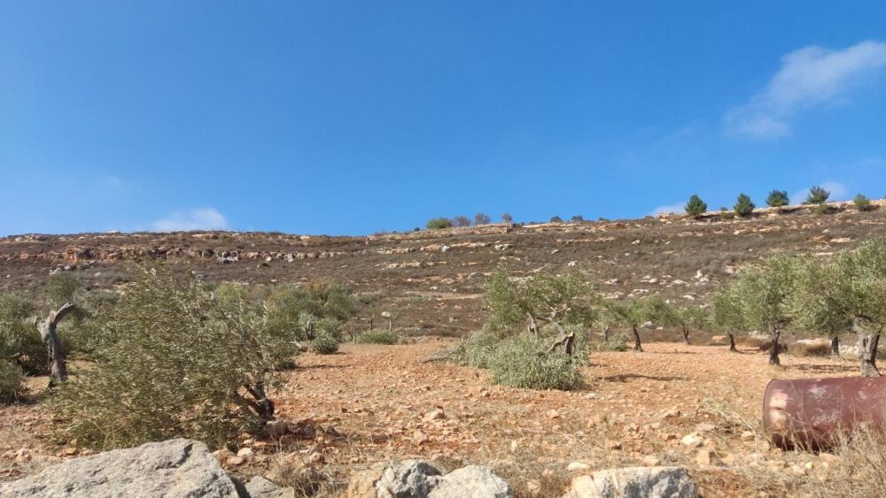 العروض والتخفيضات في الأسواق هل هي وهمية