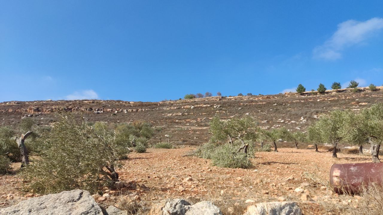 العروض والتخفيضات في الأسواق هل هي وهمية