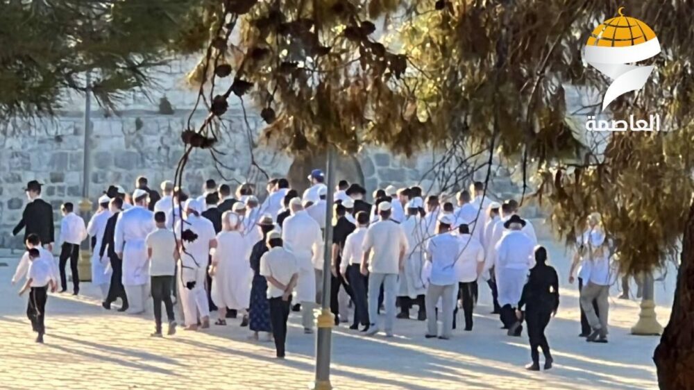 في أول أيام عيد العرش اليهودي: 300 مستوطن يقتحمون المسجد الأقصى المبارك